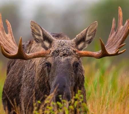 imgi_10_20211002-dsc-1273-scaled