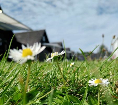 imgi_10_20240806-151724-scaled