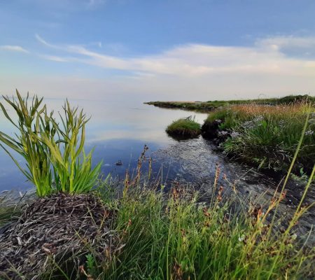 imgi_12_20230630-205022-scaled