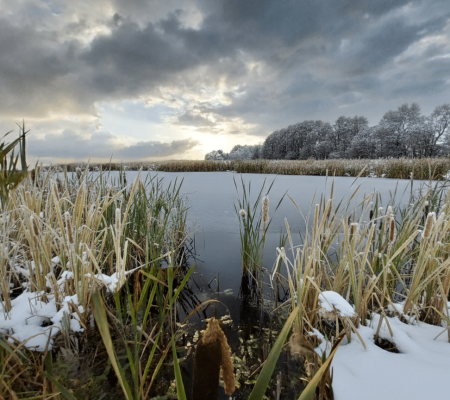 imgi_12_gemini-generated-image-cw28dbcw28dbcw28