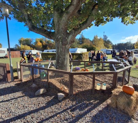 imgi_13_20251014-145249-scaled