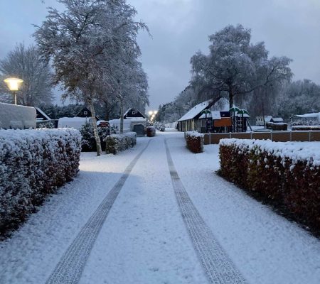 imgi_15_316075984-1321168675304620-1839185479653276157-n