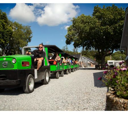 imgi_27_toget-scaled