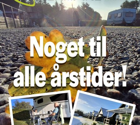 imgi_4_alle-arstider