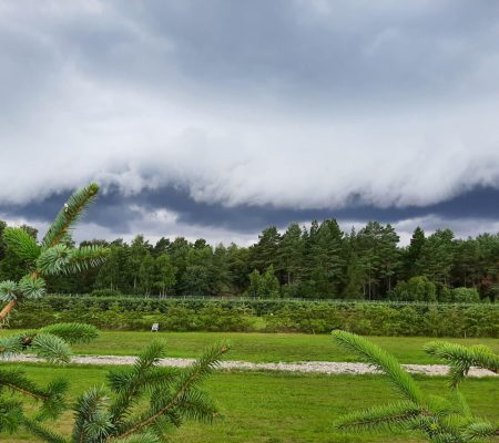 imgi_5_20230730-143716-scaled