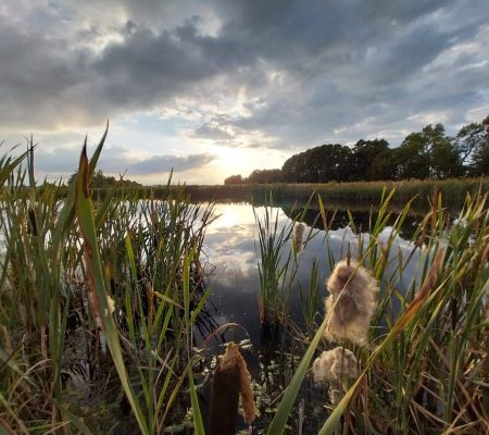 imgi_5_20240711-203851-scaled