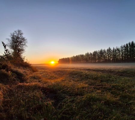 imgi_5_20251016-080151-scaled