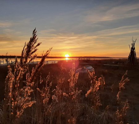 imgi_6_20230127-162922-scaled