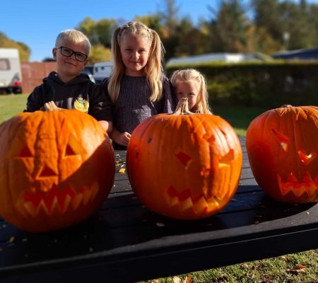 imgi_6_20251014-145430-scaled