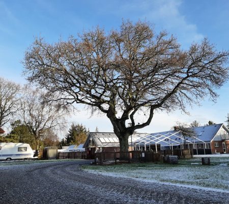 imgi_7_20230118-103112-scaled