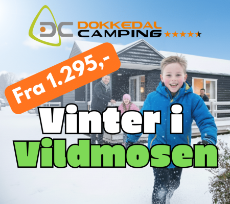 imgi_7_vinter-i-vildmosen