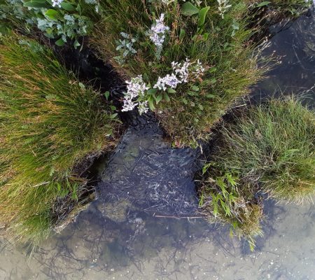 imgi_8_20230630-205326-scaled