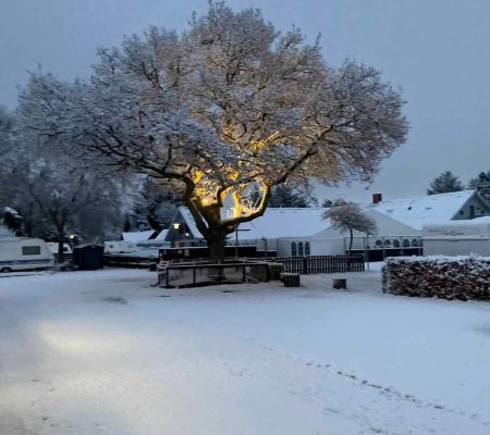 imgi_8_315609714-1321168641971290-142731398357778027-n