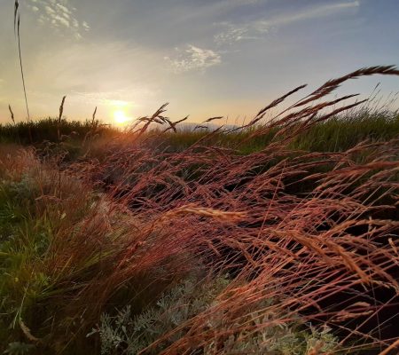 imgi_9_20230630-205602-scaled