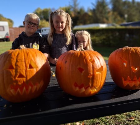 Halloweenpåcampingpladsenhoslillevildmosecamping (14)