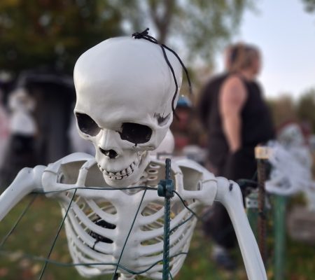 Halloweenpåcampingpladsenhoslillevildmosecamping (2)