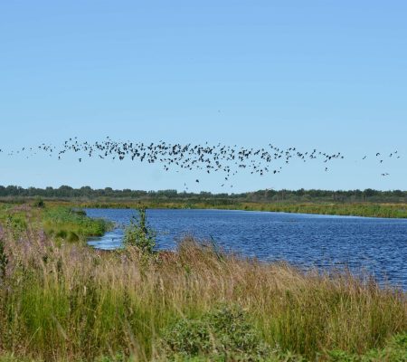 paa-to-hjul-i-lille-vildmose